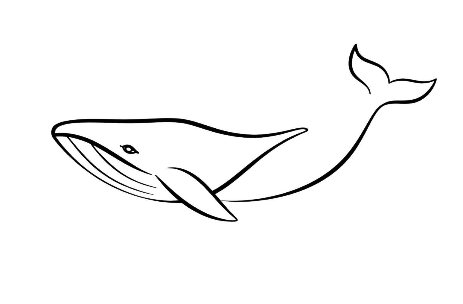 Finance ESPM